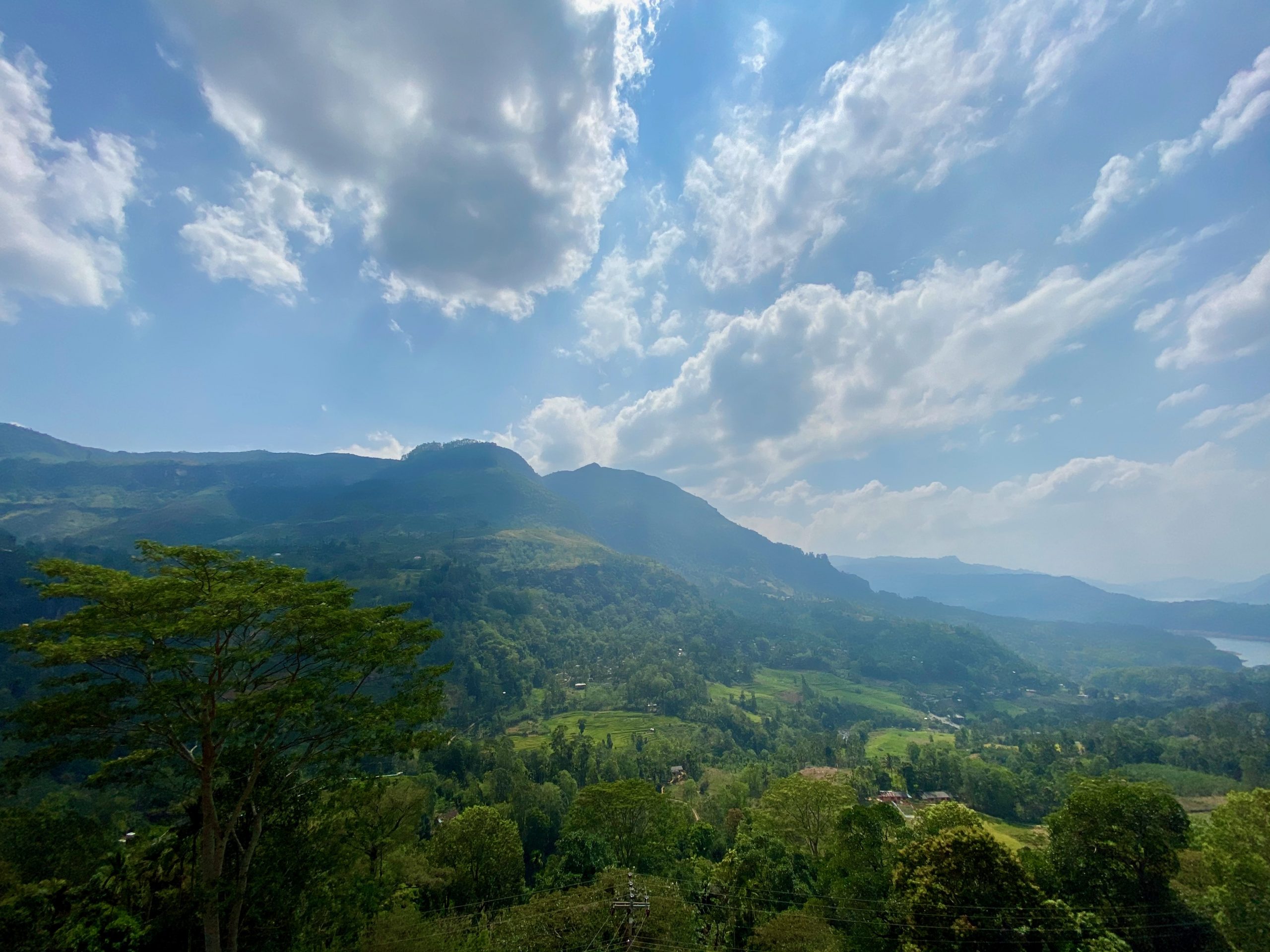 mountains and trees